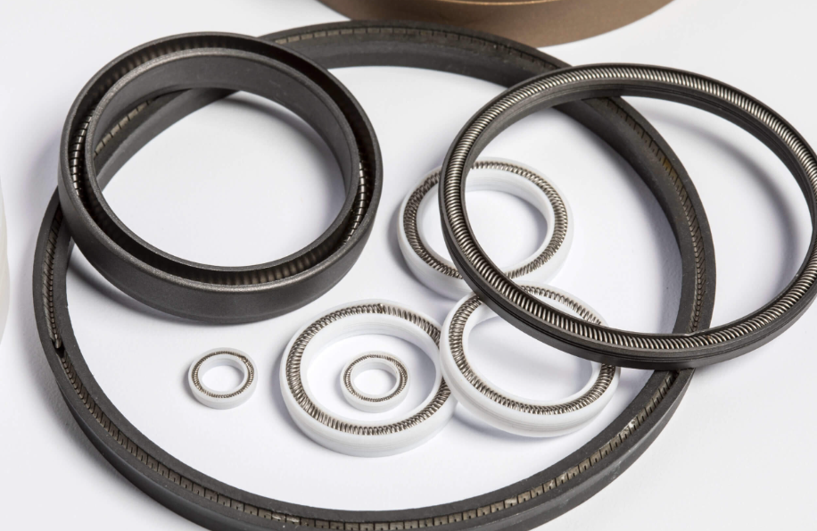 Spring Seal spring energized seal Variseal1
